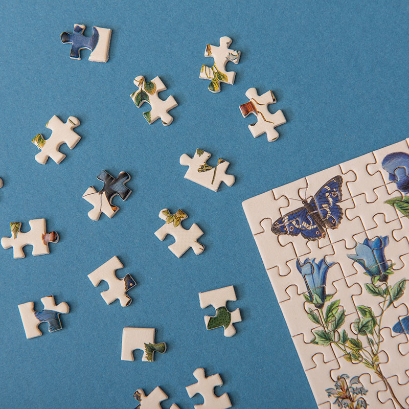 Micropuzzle de 150 piezas